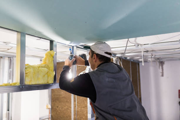Best Insulation Repair Services  in Locust Fork, AL