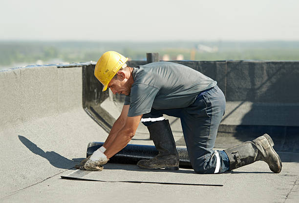 Best Insulation Inspection Services  in Locust Fork, AL