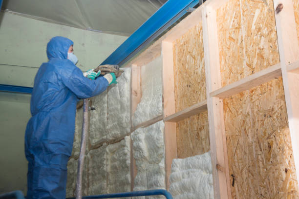 Garage Insulation Installation in Locust Fork, AL